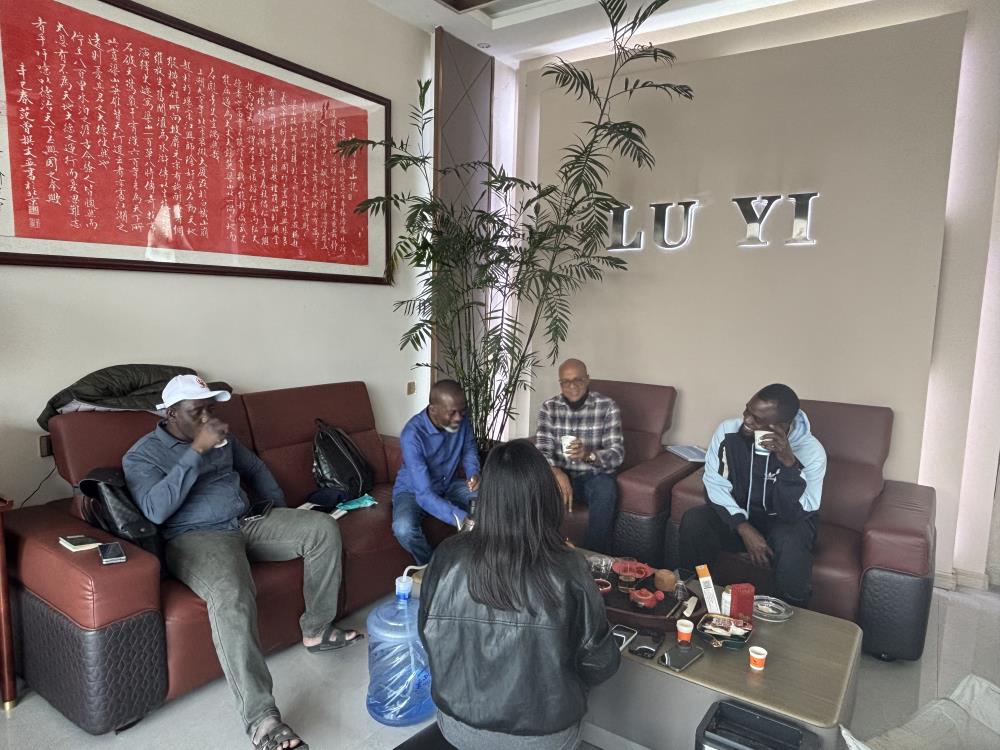 Cómo Luyi Auto ayudó a un cliente de construcción nigeriano a mejorar el transporte de equipos pesados ​​con 12 semirremolques de plataforma baja personalizados de 40 toneladas